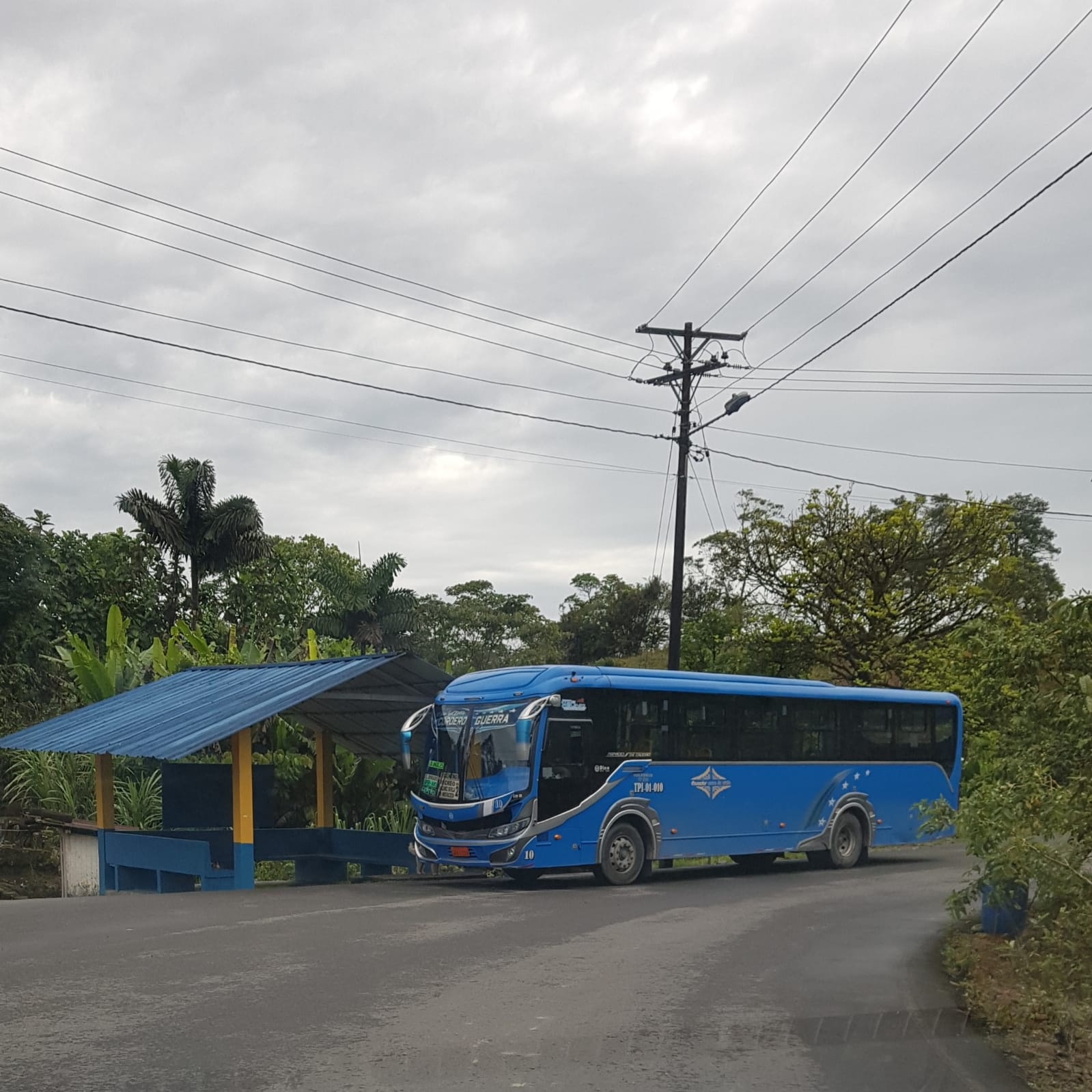 Hermoso Terreno de venta en Puyo 1000 m2 Escrituras inmediatas