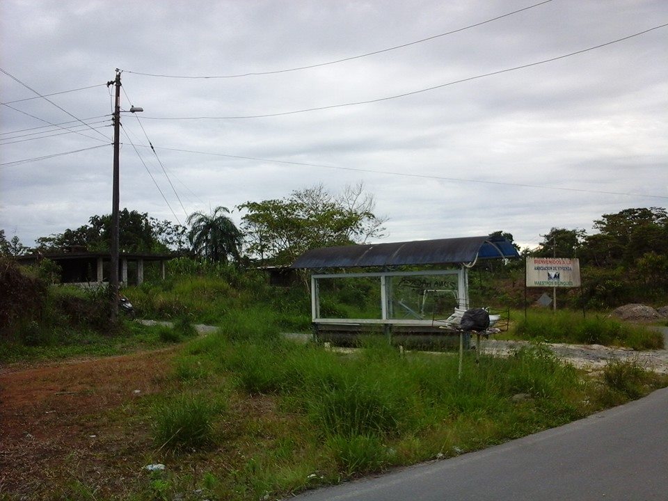 Hermoso Terreno de venta en Puyo 1000 m2 Escrituras inmediatas